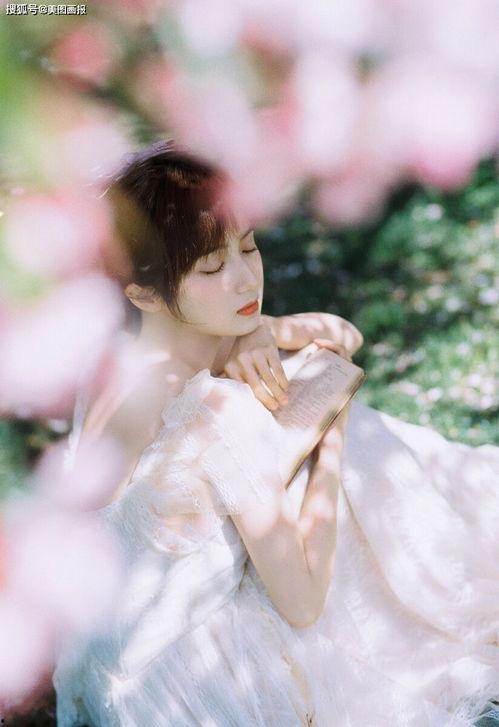 晚栀未眠,探寻深夜心灵的独白