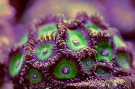 北京浪花,映照都市繁华的璀璨瞬间